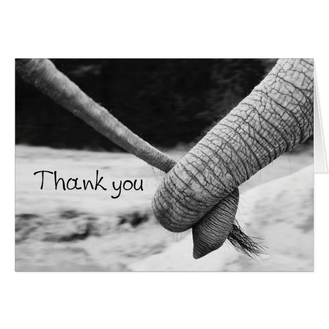 Carte de remerciements - tronc d'éléphant tenant l (Devant horizontal)