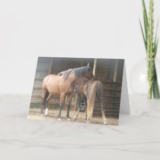 Carte De Remerciements Tu Me Scrates Le Dos..........