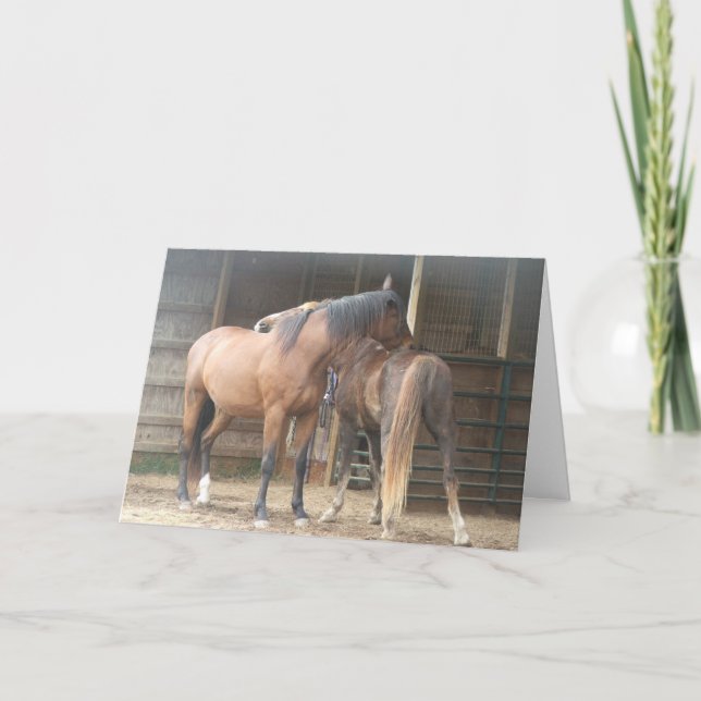 Carte De Remerciements Tu Me Scrates Le Dos.......... (Devant)