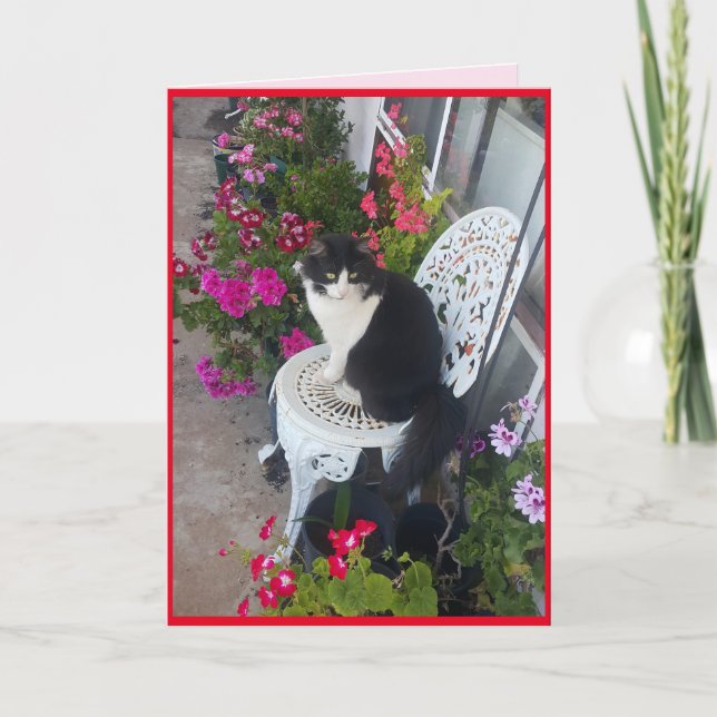 Carte De Remerciements Tuxedo Cat mignonne avec de jolies fleurs (Devant)