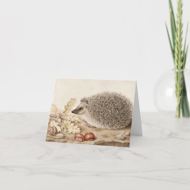 Carte De Remerciements Un hérisson dans un paysage par Giovanna Garzoni (Devant)