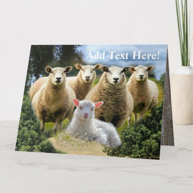 Carte De Remerciements Vestige de mouton Herbe de mouton Agneau de bébé (Devant)