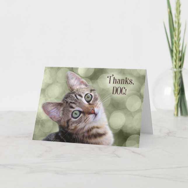 Carte De Remerciements Vétérinaire du chat Tabby Kitten (Devant)