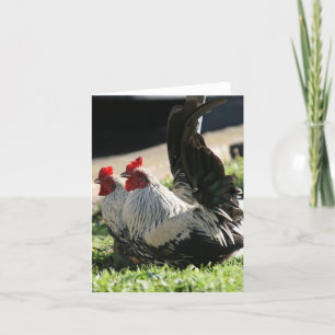 Carte De Remerciements Vide, Rooster