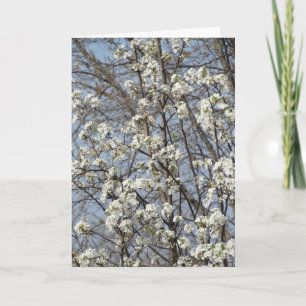 Carte De Remerciements Vieux Ami à travers les saisons de la vie