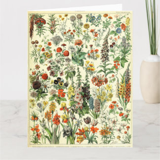 Carte De Remerciements Vintage Botanical Fleurs Poster Postcard