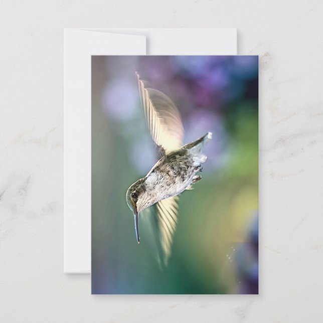 Carte De Remerciements Vol de colibri (Devant)