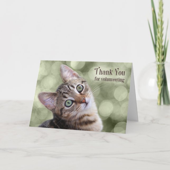Carte De Remerciements Volontaire Tabby Kitten (Devant)