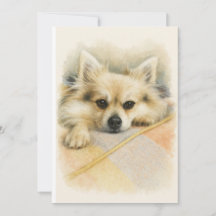 Watercolor Pomeranian Chihuahua Dog Portrait 