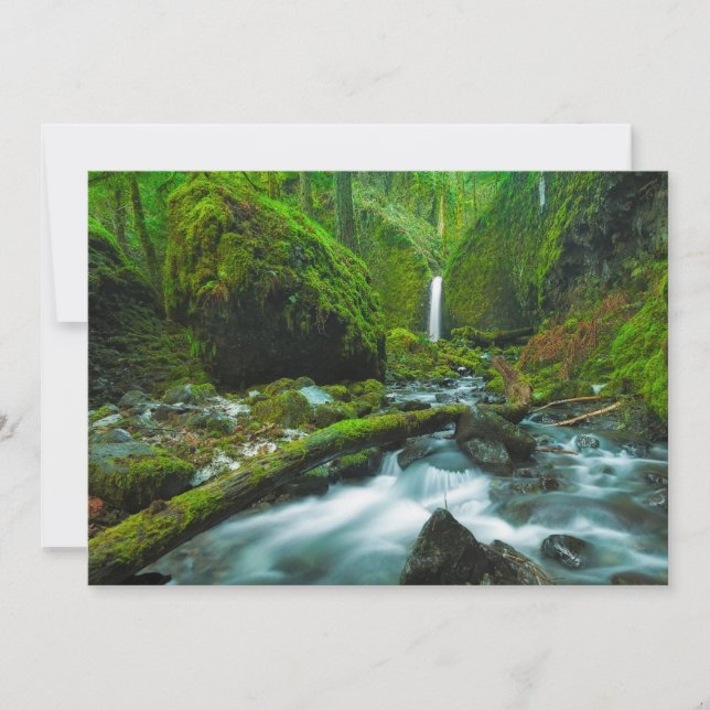 Carte De Remerciements Waterfalls | Grotto Falls, Oregon (Devant)