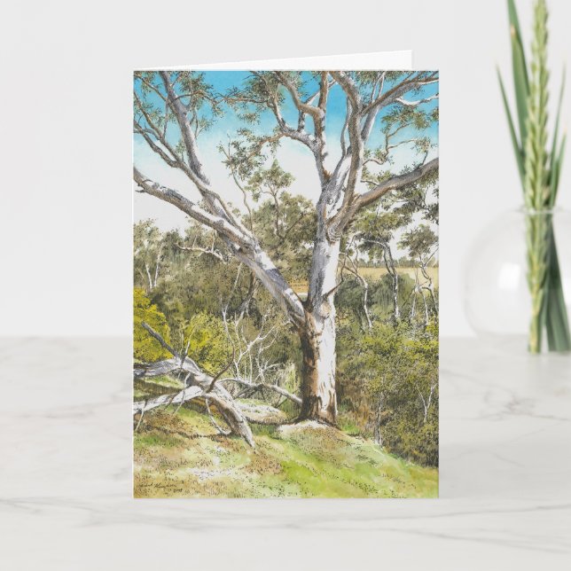Carte De Remerciements Werribee River Gum - (Devant)