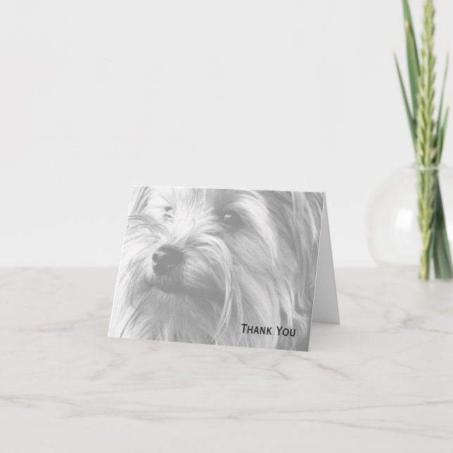 Carte De Remerciements Yorkshire noir et blanc Terrier Yorkie (Devant)