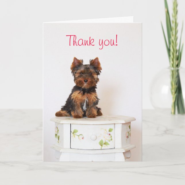 Carte De Remerciements Yorkshire Terrier (Devant)