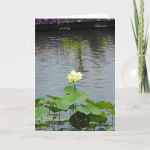 Carte De Remerciements Your Message ~ 26