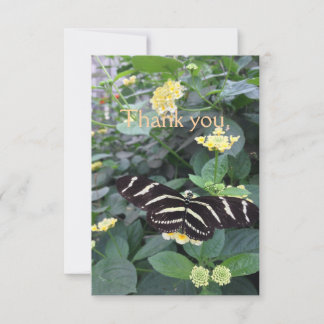 Carte De Remerciements Zebra Longwing Thank You Card