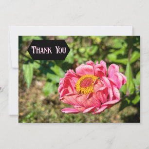 Carte De Remerciements Zinnia rose avec Centre jaune
