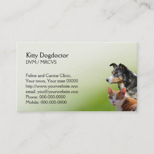 Carte De Rendez-vous Affaires de vétérinaire de chat et de chien