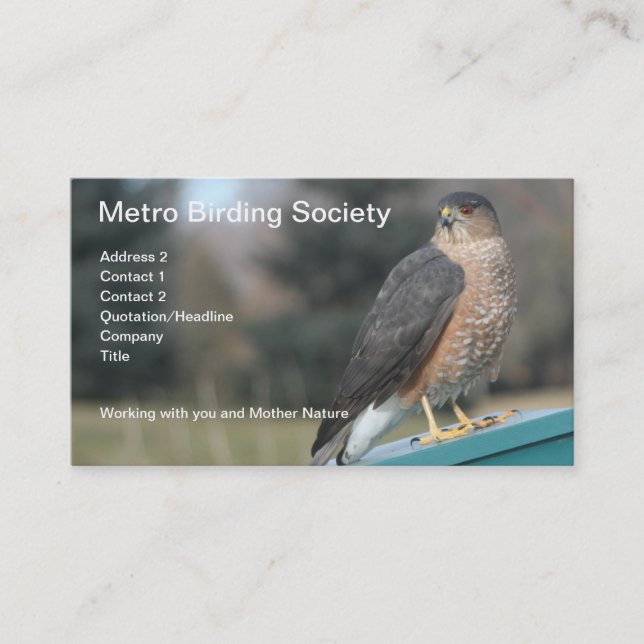 Carte De Rendez-vous Photo Cooper's Hawk (Devant)
