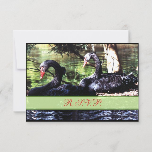 Carte de réponse Mates for Life Black Swans (Devant)