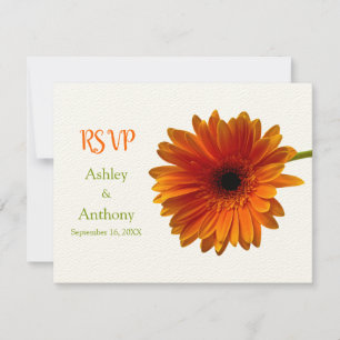 Carte de réponse Orange Gerbera Daisy