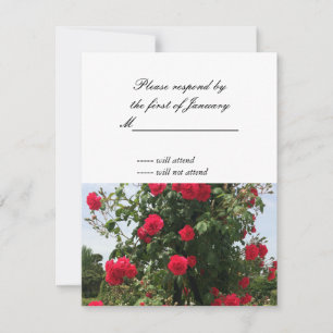 Carte de réponse RSVP Bouquet de roses rouges