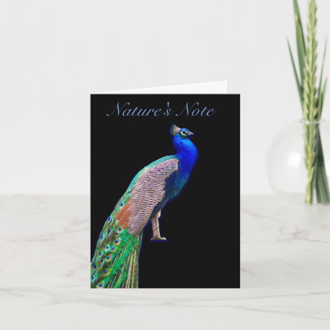 CARTE DE REPOS PHOTO PHÉASANT PEACOCK (Devant)