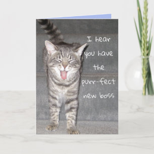 Carte de retraite agréable pour chats mignons