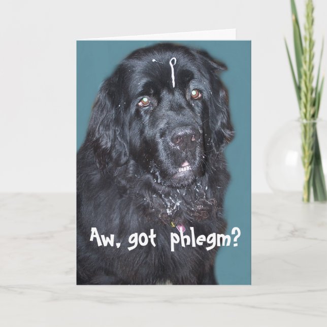 Carte de réussite pour le chien de Terre-Neuve (Devant)