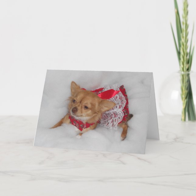 carte de rêve de Noël chihuahua (Devant)