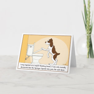 Carte de rinçage de springer spaniel
