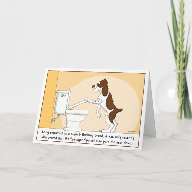 Carte de rinçage de springer spaniel (Devant)