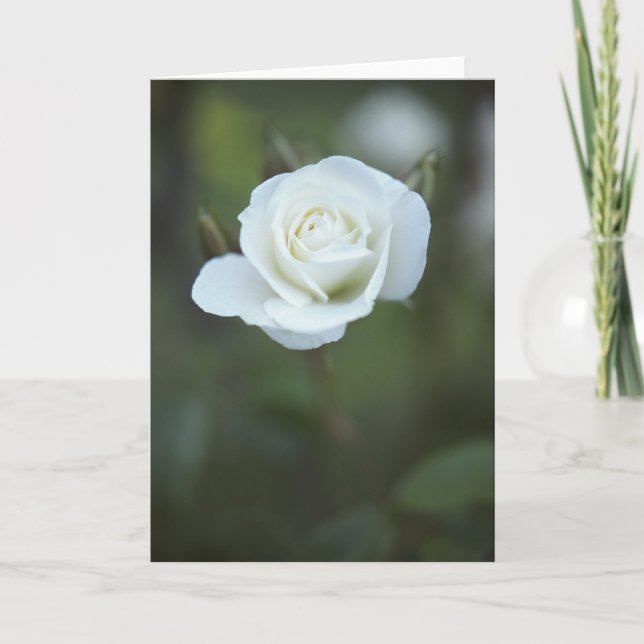 Carte de rose blanc (Devant)