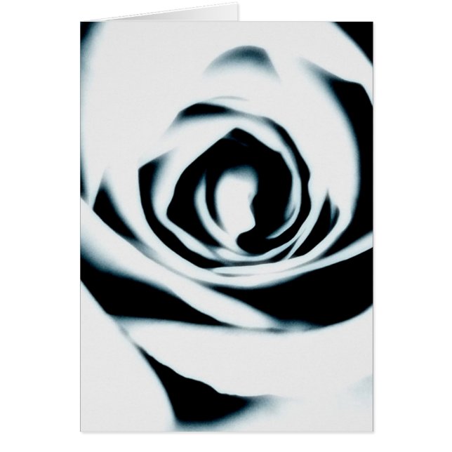 Carte de rose blanc (Devant)
