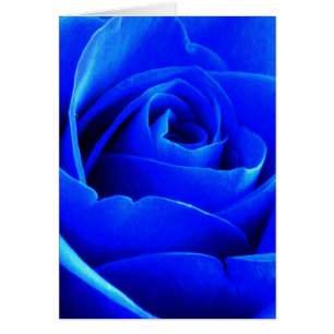 Carte de rose de bleu