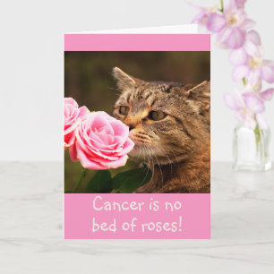 Carte de sagesse pour cancer Kitty