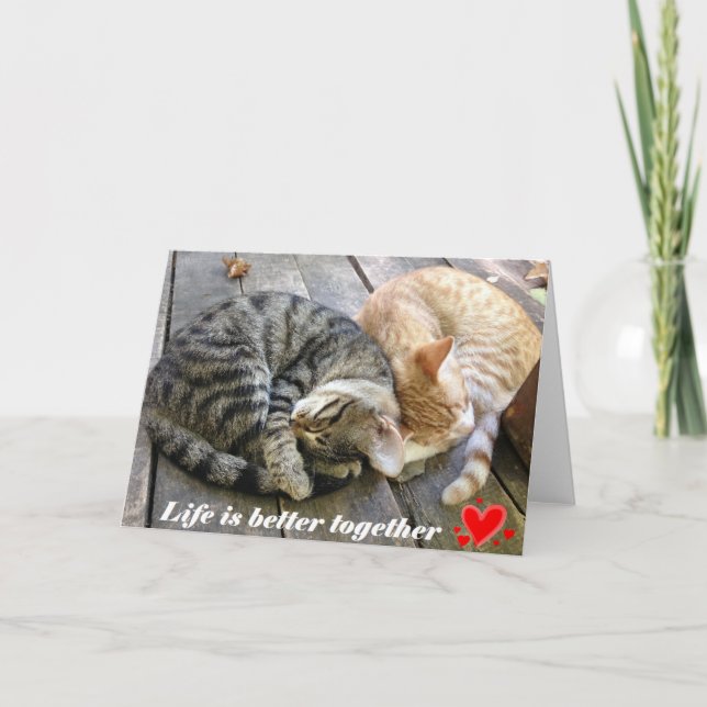 Carte de Saint-Valentin avec des chats - blanc (Devant)