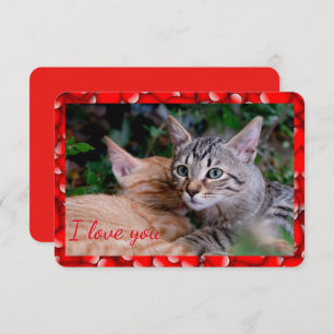 Carte de Saint-Valentin chat