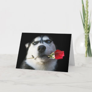 Carte de Saint-Valentin de chien de traîneau
