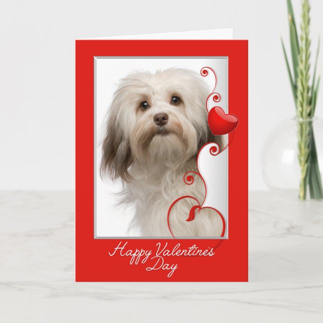 Carte de Saint Valentin Havanaise (Devant)