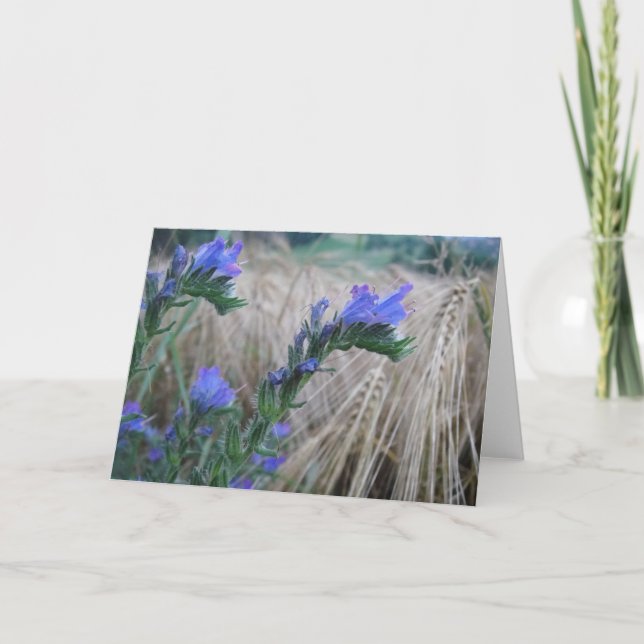 Carte de salutation fleurs de grain (Devant)