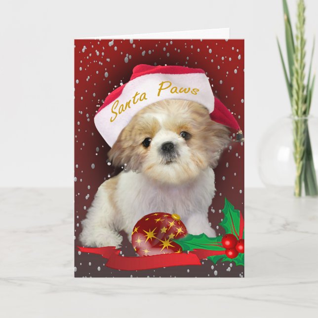 Carte de Santa Paws (Devant)