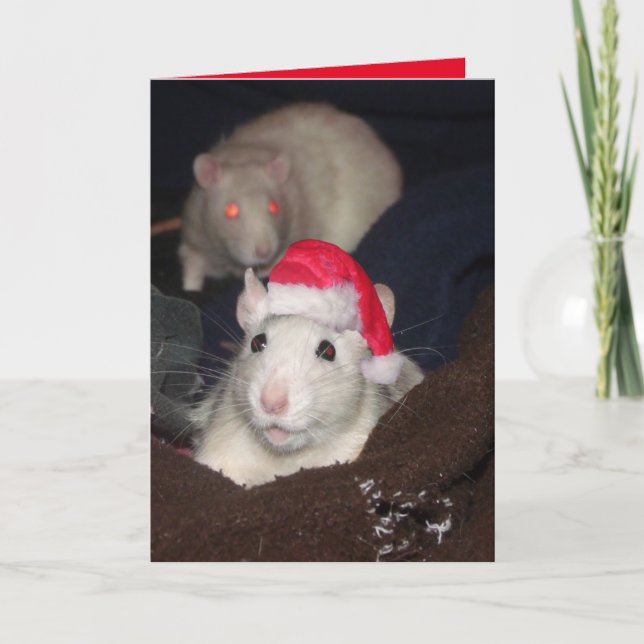 Carte de Santa Rat (Devant)