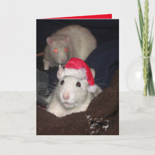 Carte de Santa Rat
