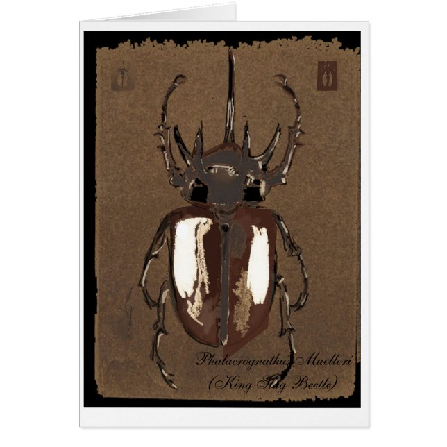 Carte de scarabée de mâle (Devant)