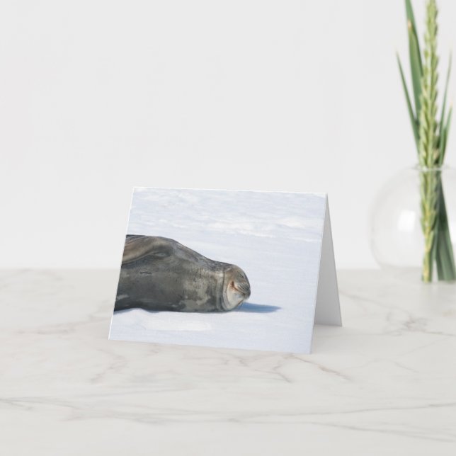 Carte de sceau Weddell (Devant)