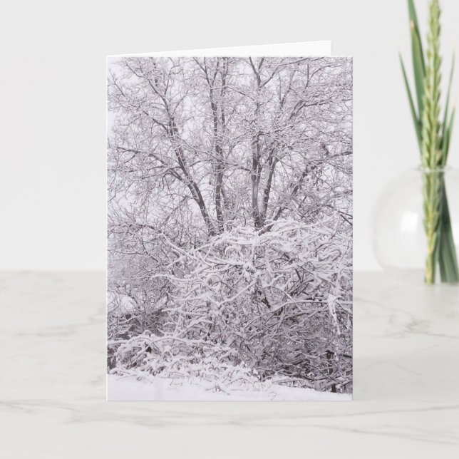 Carte de scène d'hiver vide (Devant)