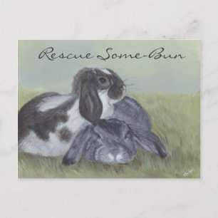 Carte de Secourt de lapin