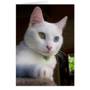 Carte de sérénité