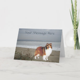 Carte de Sheltie