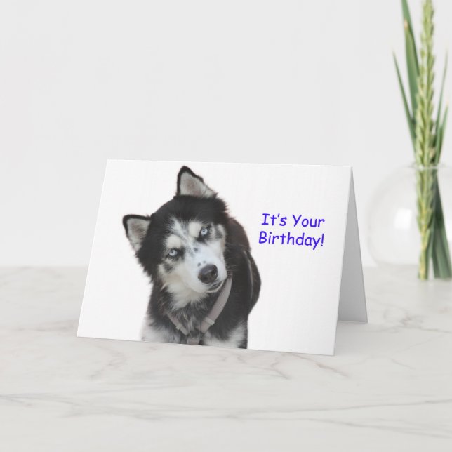 Carte de Siberian Husky Birthday (Devant)